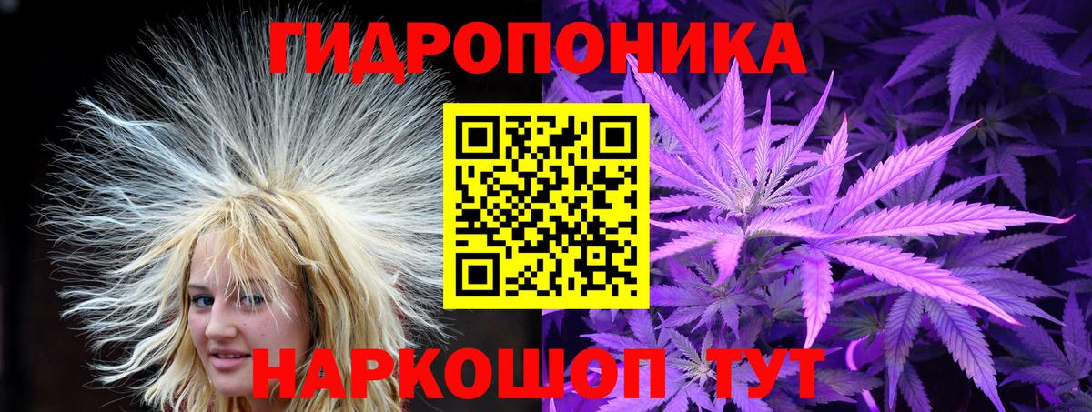Камышлов  Конопля Ganja  Бошки Шишки гибрид  Вход с VPN 